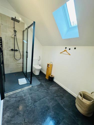 une salle de bain avec douche et toilettes et une fenêtre dans l'établissement Chalet moderne tout confort à st lary village, à Saint-Lary-Soulan