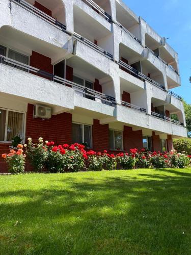 Zahrada ubytování Hotel Rodica