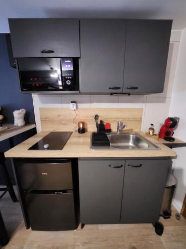une cuisine avec un évier et un micro-ondes dans l'établissement Studio Le Miroir Rouge, à Meaux