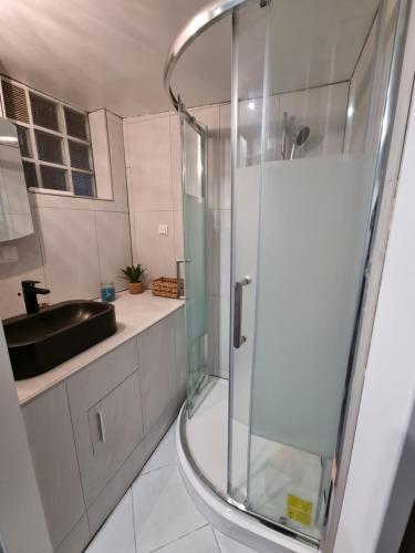 a bathroom with a glass shower and a sink at Studio Le Miroir Rouge in Meaux