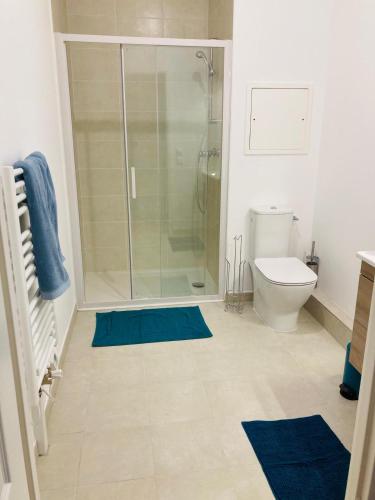 La salle de bains est pourvue d'une douche, de toilettes et de tapis bleus. dans l'établissement Studio terrasse Villa Aubert Vincennes, à Vincennes