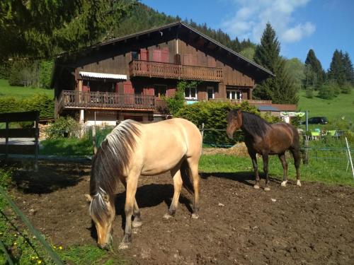 Gaïana - Terre des Possibles