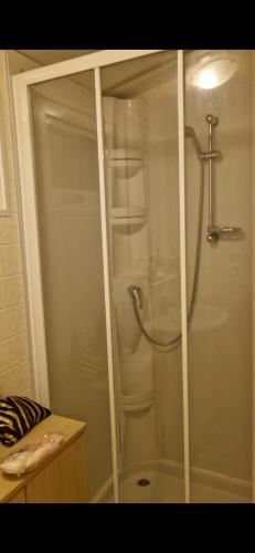 une douche avec une porte vitrée dans une salle de bain dans l'établissement Mobile home C189, à Sigean
