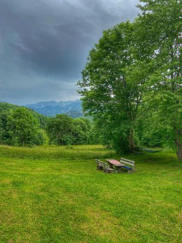 two picnic tables in a field with a tree at Konak Umoljani in Umoljani
