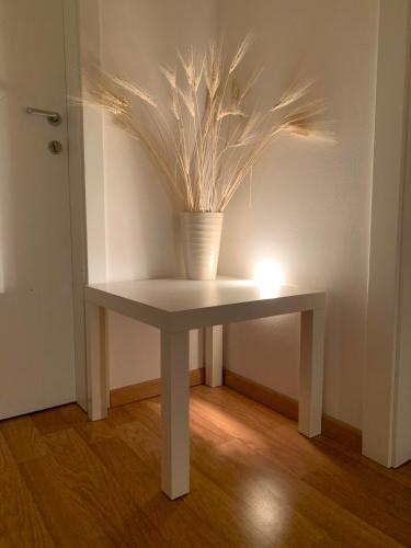 a table with a potted plant on it with a light at Agritur Stefenelli in Nago-Torbole