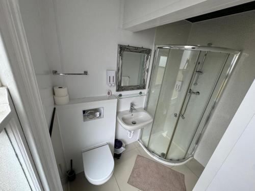 a bathroom with a shower and a toilet and a sink at Namaste Palace Hotel in Norwich