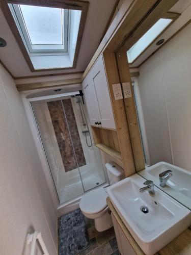 La salle de bains est pourvue de toilettes, d'un lavabo et d'une lucarne. dans l'établissement Premium Mobilhome Grimaud, à Grimaud