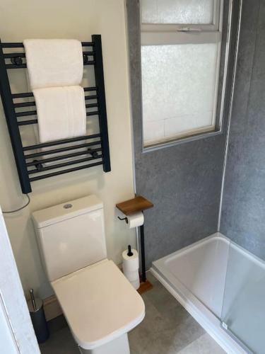 a bathroom with a white toilet and a bath tub at Stylish 1 Bedroom Flat in Heart of Cowes in Cowes