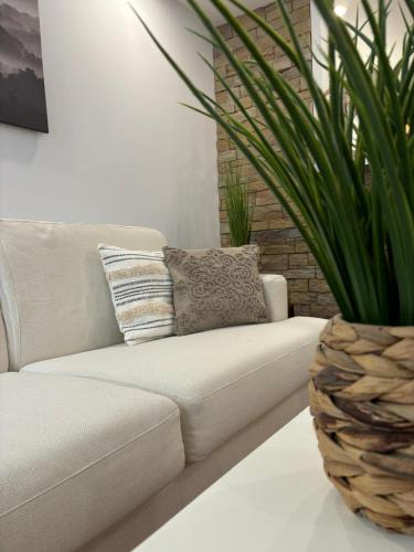 - un canapé blanc dans un salon avec une plante en pot dans l'établissement Rhein Stopover - Appartement 2 Personnes, à Huningue
