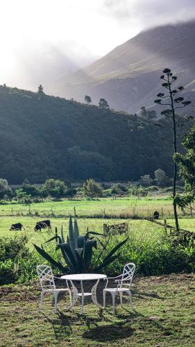 a table and two chairs in a field with a cactus at The Hamlet in Swellendam