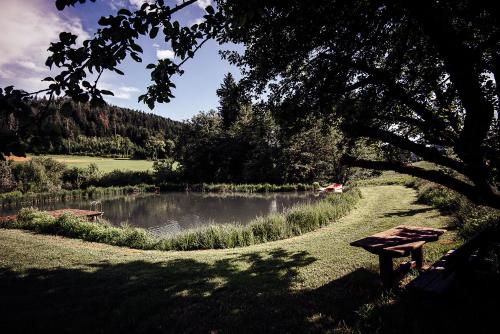 a park bench next to a lake with a tree at Ferienhaus am Teich in Kappel am Krappfeld