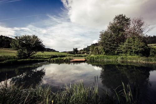 a pond with a bench in the middle of a field at Ferienhaus am Teich in Kappel am Krappfeld