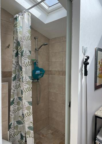 une salle de bain avec une douche avec un rideau de douche dans l'établissement Chambre de Cottage, à Moulézan