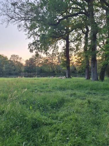 a field of grass with trees in the background at Domaine de Bobehec - Gîte de groupe, chambres & Salle - jusqu'à 23 couchages - Morbihan proche Vannes et plages in La Vraie-Croix