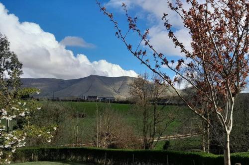 a view of a field with mountains in the background at Riverside cabin in Limerick