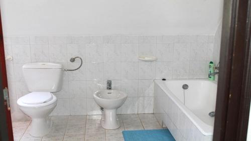 ein Badezimmer mit einem WC und einer Badewanne in der Unterkunft Zsigmond Ház in Poroszló
