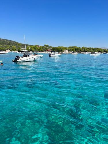 Appartement île de CIOVO CROATIE