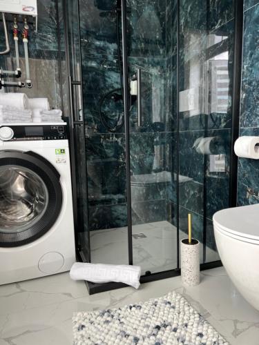 a bathroom with a washing machine and a sink at Amber Sand apartamentai in Palanga