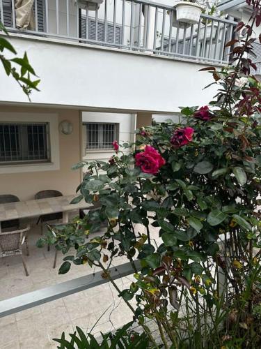Μπαλκόνι ή βεράντα στο Casa Norma Oasi di pace a un passo dal mare