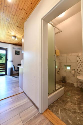 a bathroom with a shower and a toilet in a room at Apartment & Rooms Luketic in Rastovača
