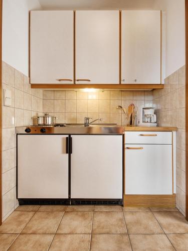 a kitchen with white cabinets and a sink at Ferienwohnungen Theresienhof in Ledenitzen