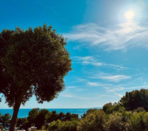 Příroda nedaleko bed and breakfast