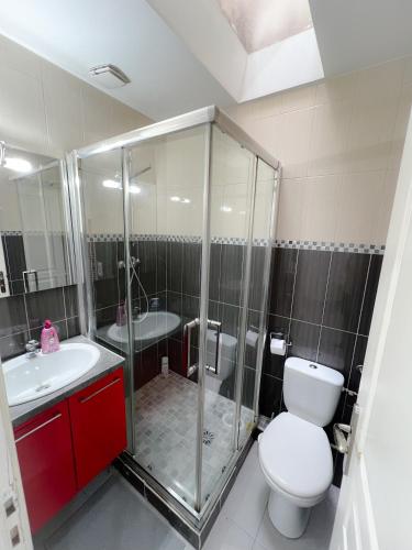 une salle de bain avec une douche, des toilettes et un lavabo dans l'établissement République, à Nice