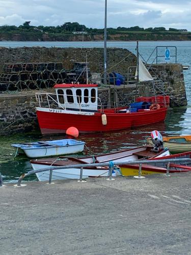 two boats are docked in the water near a pier at Beach Row in Wexford