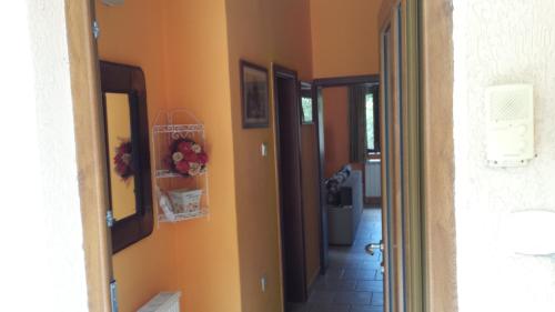 Φωτογραφία από το άλμπουμ του Sole Apartments στο Κότορ
