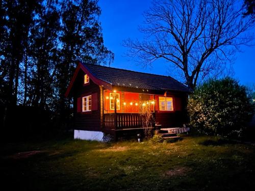 a small house with lights on it at night at Koselig hytte på eget tun med varmtvanns utedusj in Ås