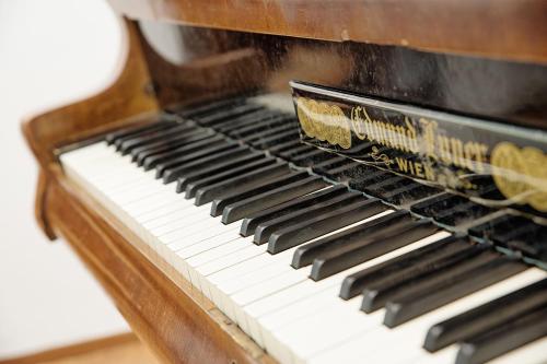 an old piano sitting on top at Ferienwohnungen Theresienhof in Ledenitzen