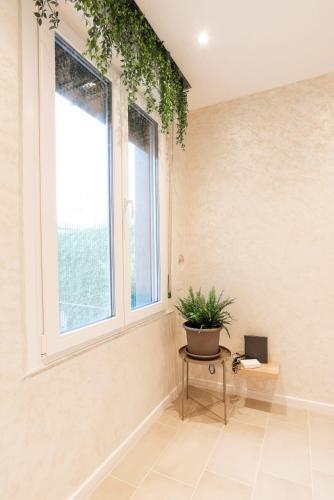 a room with a window and a potted plant at Mentana Guest House in Parma