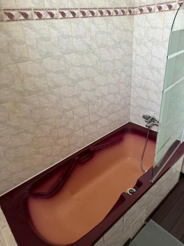une baignoire dans une salle de bain avec douche dans l'établissement Appartement T4, à Corte