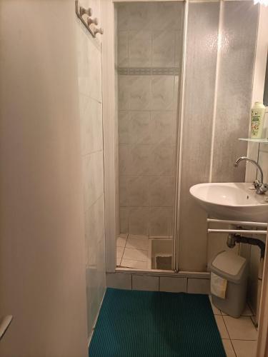 La petite salle de bains est pourvue d'une douche et d'un lavabo. dans l'établissement Maison calme pès de Conques en Rouergue, à Sénergues