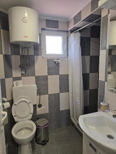 a small bathroom with a toilet and a sink at Prenociste jezerske zvezde in Veliko Gradište