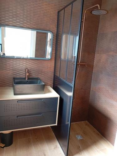 une petite salle de bain avec un lavabo et une douche dans l'établissement Appart Binic - Le grain de sable, à Binic