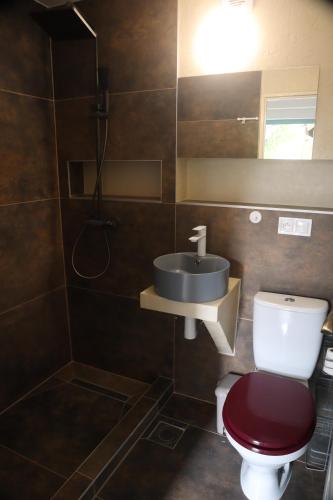 a bathroom with a toilet and a sink at Tanzanit in Štúrovo