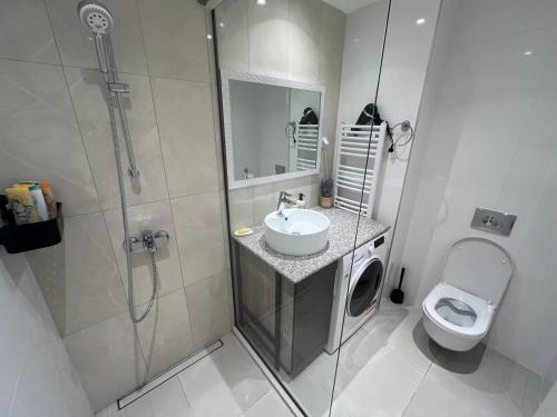 a bathroom with a shower and a sink and a toilet at Aqua BW Apartments in Sajmište