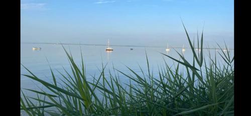 a view of a lake with boats in the water at Stunning sea views from rooms and terraces in Leigh-on-Sea