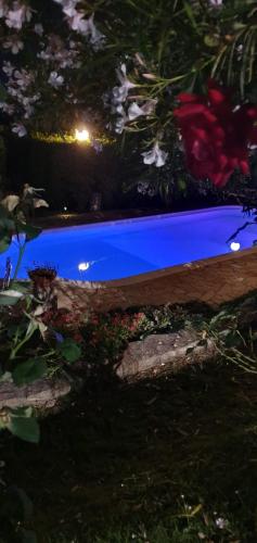 Κήπος έξω από το Splendido rustico shabby