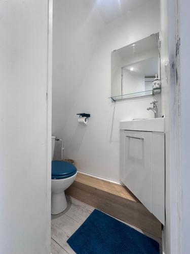 ein Badezimmer mit Toilette, Waschbecken und Spiegel in der Unterkunft Home Jardin du Luxembourg à Paris in Paris