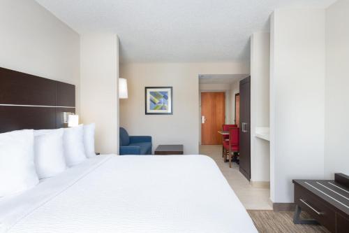 a hotel room with a large bed and a desk at Holiday Inn Express & Suites Spring Hill by IHG in Spring Hill