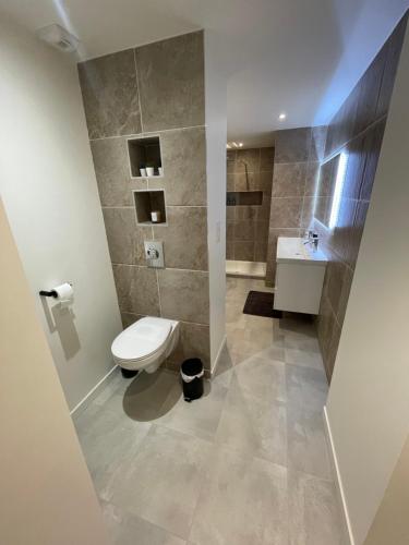 une salle de bain avec toilettes et lavabo dans l'établissement L'Oscar, à Clermont-Ferrand