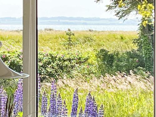 a window view of a field with purple flowers at 6 person holiday home in Thyholm-By Traum in Thyholm