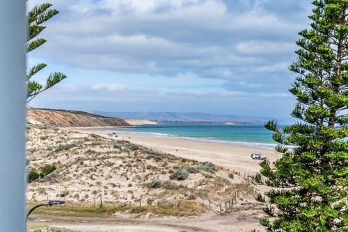 a view of a beach with a pine tree at The Esplanade - Luxuriously Styled New 3 Bed Apt in Moana