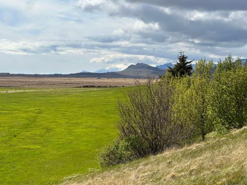 a field of green grass with mountains in the background at Eiðhús Apartments in Vegamót