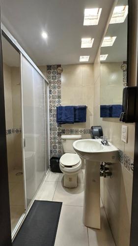 a bathroom with a toilet and a sink and a shower at Maison Pascual - Centro Histórico in San Luis Potosí