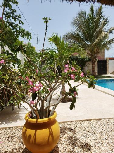 La alberca dentro o cerca de Senekera villa 3 chambres SDB avec piscine petite côte