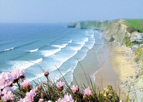 Blick auf einen Strand mit rosa Blumen in der Unterkunft Beachcombers in Newquay Bay Resort