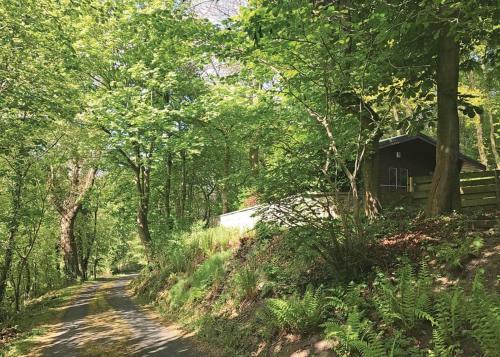 un camino de tierra que conduce a una cabaña en el bosque en Hideaway Lodges en Boʼness